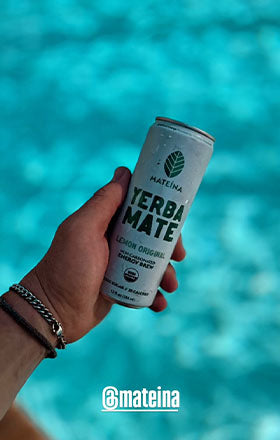 Mateina Yerba Mate Energy Brew logo