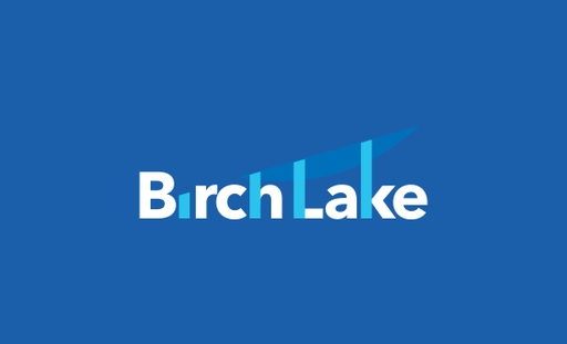 Birch Lake Partners logo