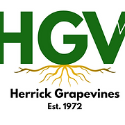 Herrick Grapevines logo