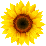Sunflower Community Credit Union logo