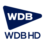 WDB Holdings logo