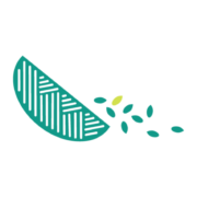 Winnow Fund