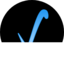 Veena logo
