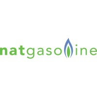 Natgasoline logo