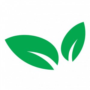 OtisHealth logo
