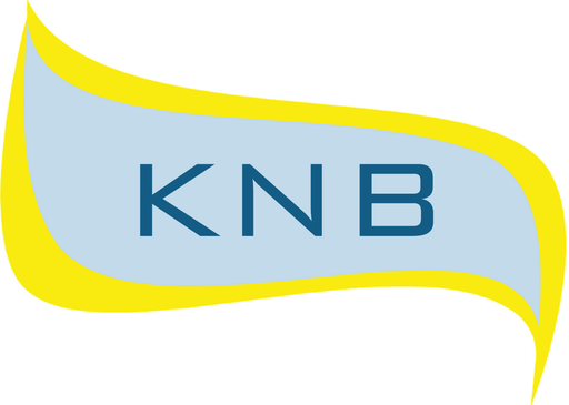 Kingston National Bank logo