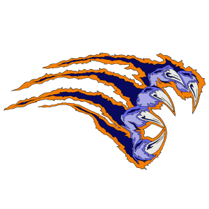 Branson School District logo