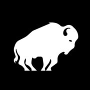 Bison Capital logo