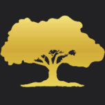 Broadtree Partners