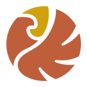 American Eagle Gold logo