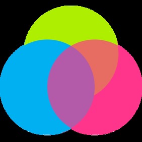 The Shared Web