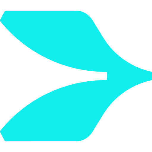 H2FLY logo
