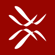 Morphing Machines logo