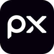 PX Data logo