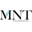 MNT Smartsolutions logo