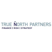 True North Partners logo
