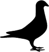 Le Pigeon logo