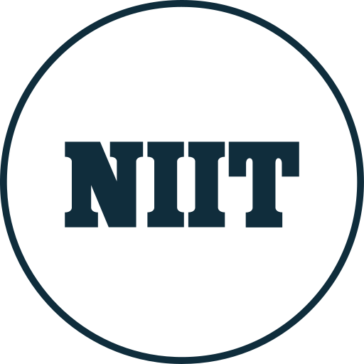 Niit logo