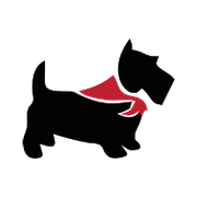 Scottie Ventures logo