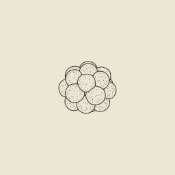 Cloudberry Ventures logo