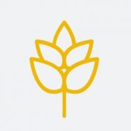 Javis Ventures logo