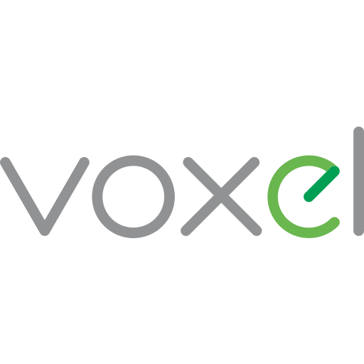 Voxel logo