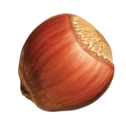 BALSU GIDA logo