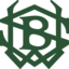 Washington State Bank logo
