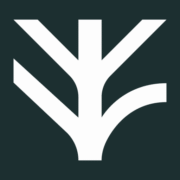 Alder