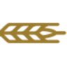 Solutions North Bank logo