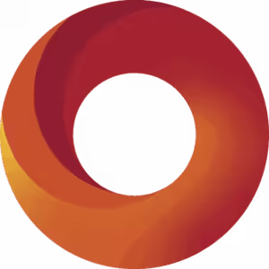DDN logo