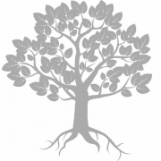 Fellowship Credit Union logo