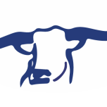Bethlehem Township School District logo