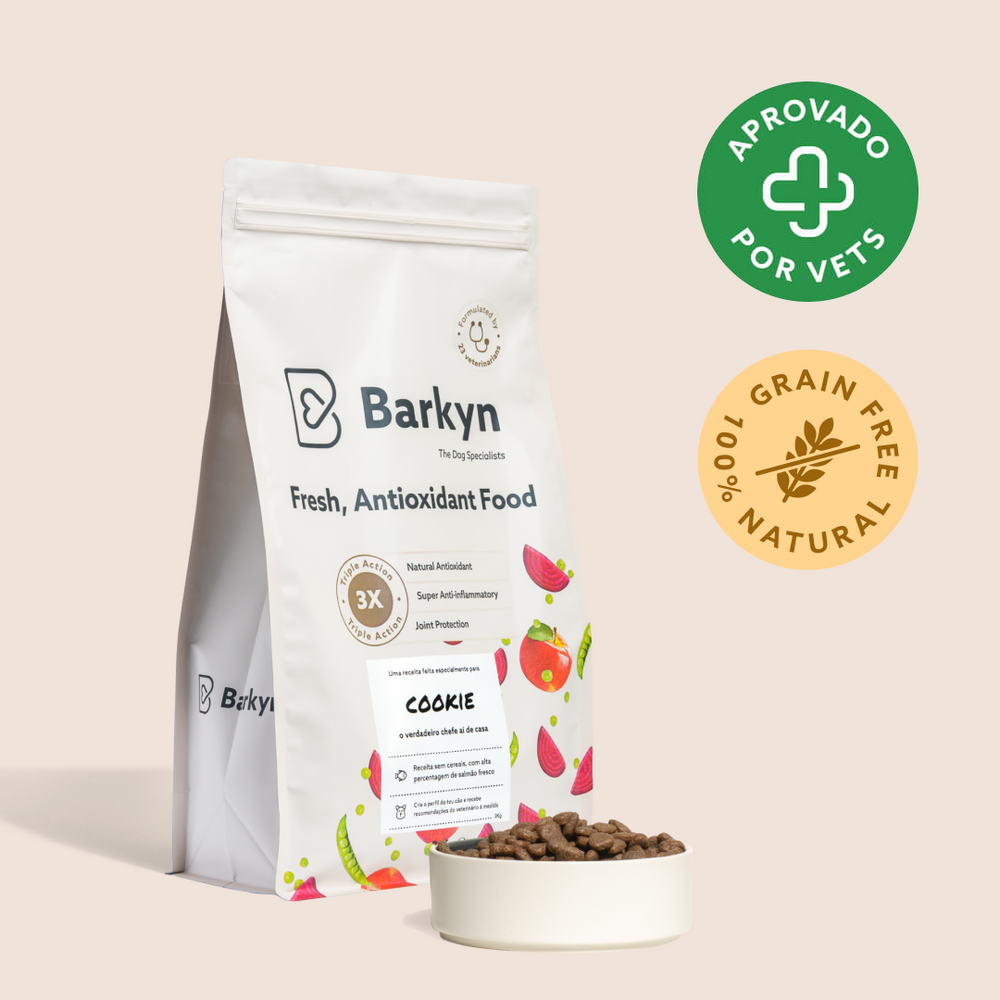 Comida Grain-free logo