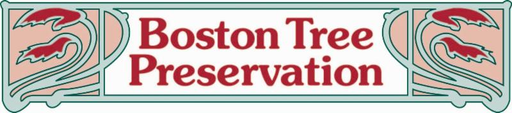 Boston Tree Preservation logo