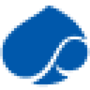 Customer Experience Consulting logo