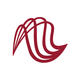 Reporting Services logo