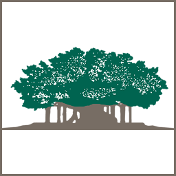 Banyan Capital Management logo