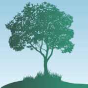Churchill County Federal Credit Union logo