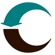Heinzmann logo
