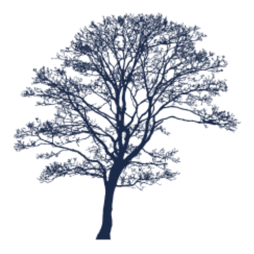 Thompson Davis & Co logo