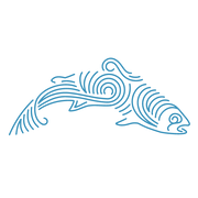 Sustainable Blue