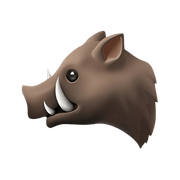 The Hog — Web Intelligence API logo