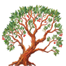 Madrone