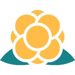 Cloudberry VC logo