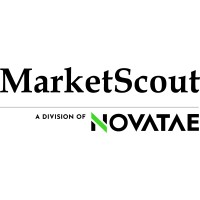 MarketScout logo