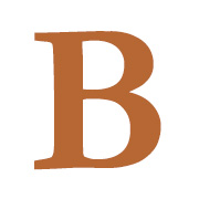 Berean Credit Union logo