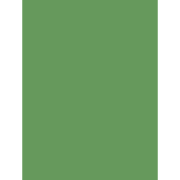 Ceremonial Matcha Powder logo