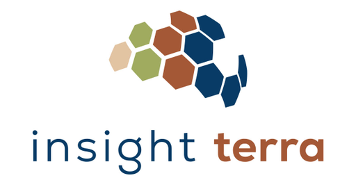 Insight Terra logo