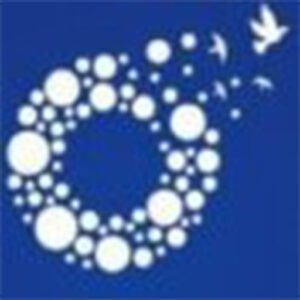 Synaro Capital logo